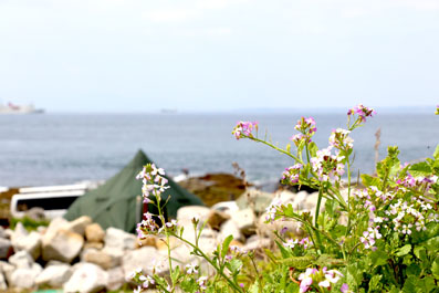 キャンプ場風景