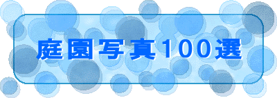 뉀ʐ^100I 