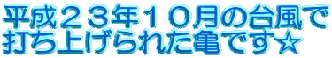 �����Q�R�N�P�O���̑䕗�� �ł��グ��ꂽ�T�ł���